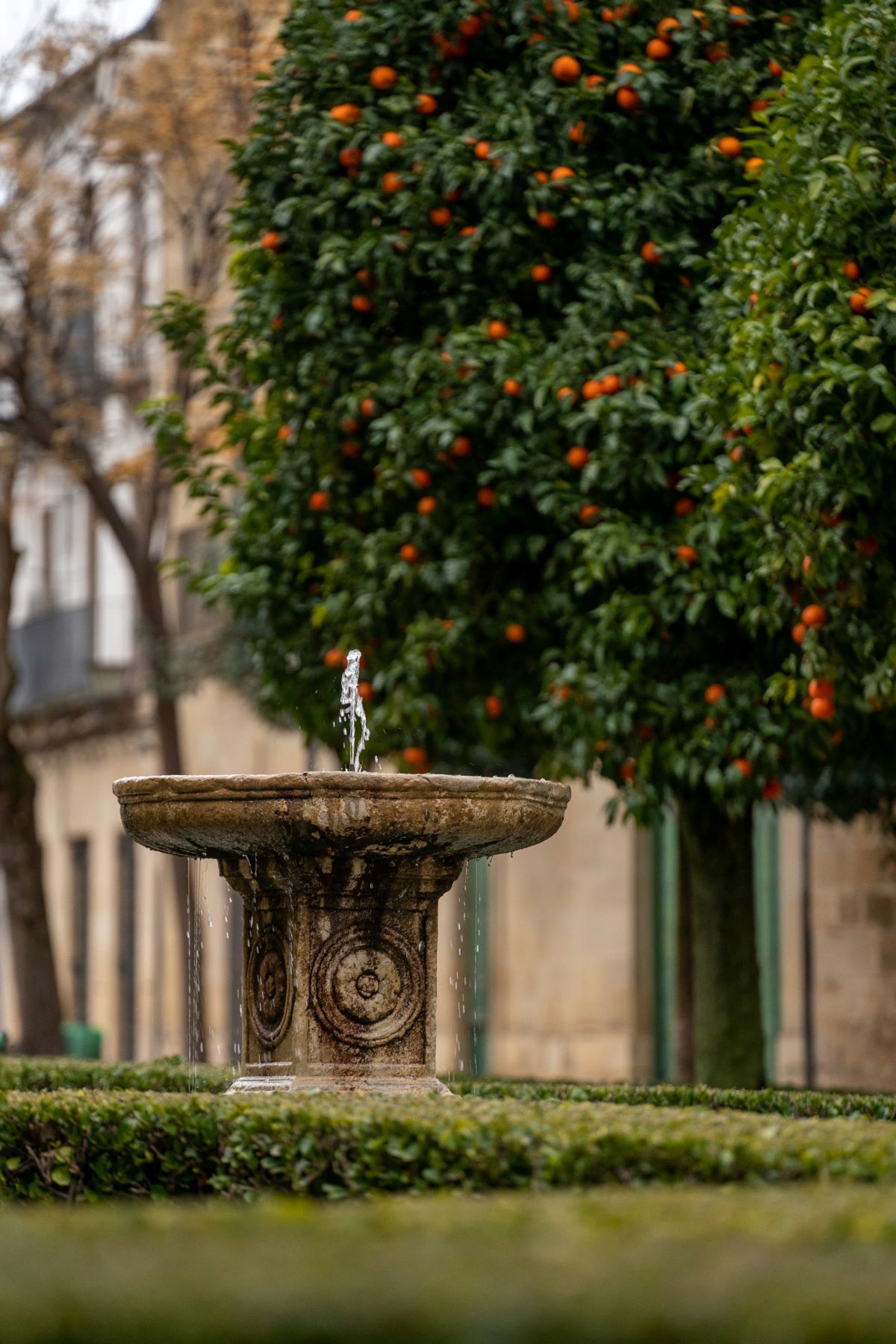 A water fountain in Seville in a park. 