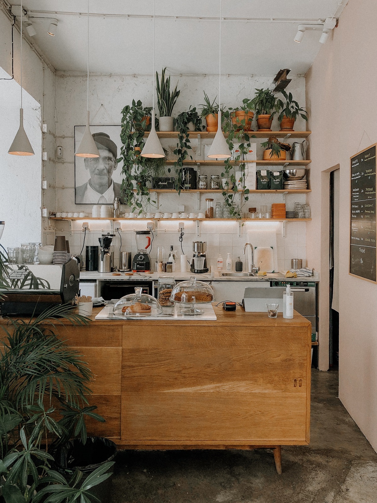 Hello, Kristof coffee shop counter in Lisbon with cakes, plants, and a framed photo