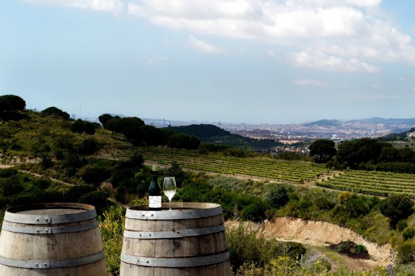 Escape the city during your 10 days in Barcelona and set aside some time for a winery day trip!