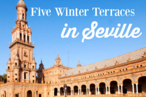 Five Winter Terraces in Seville